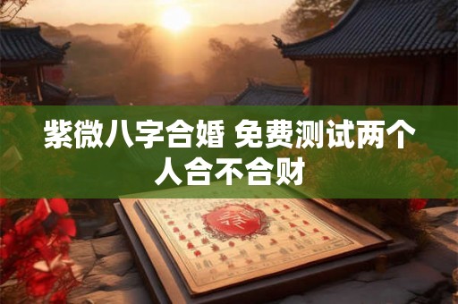 紫微八字合婚 免费测试两个人合不合财