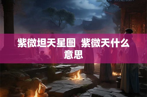 紫微坦天星图  紫微天什么意思