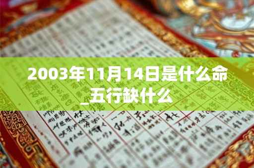 2003年11月14日是什么命_五行缺什么