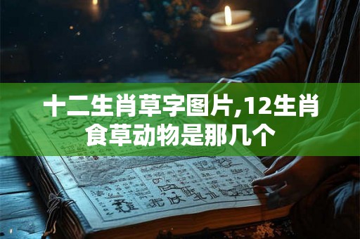十二生肖草字图片,12生肖食草动物是那几个