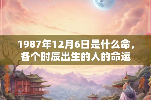 1987年12月6日是什么命，各个时辰出生的人的命运