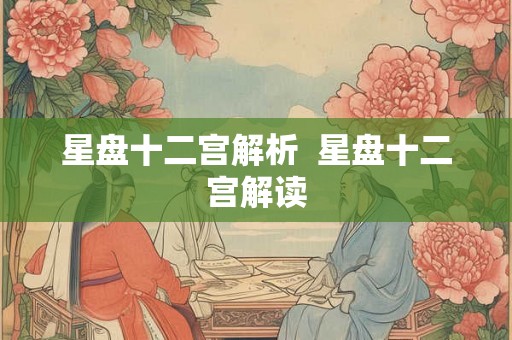 星盘十二宫解析  星盘十二宫解读