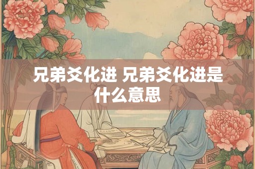 兄弟爻化进 兄弟爻化进是什么意思