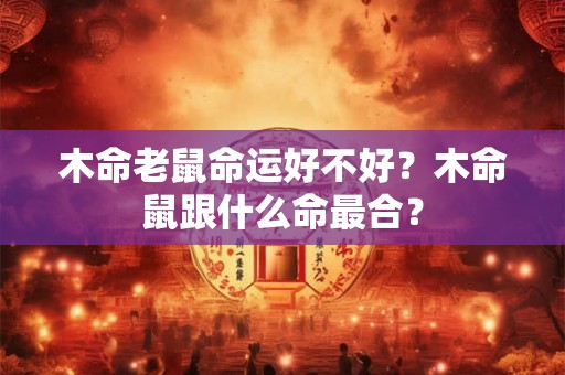 木命老鼠命运好不好？木命鼠跟什么命最合？