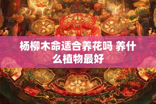 杨柳木命适合养花吗 养什么植物最好