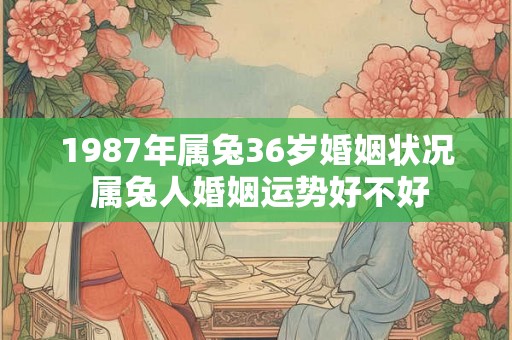 1987年属兔36岁婚姻状况 属兔人婚姻运势好不好