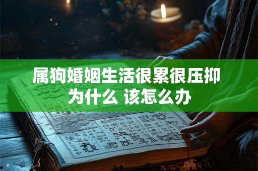 属狗婚姻生活很累很压抑 为什么 该怎么办