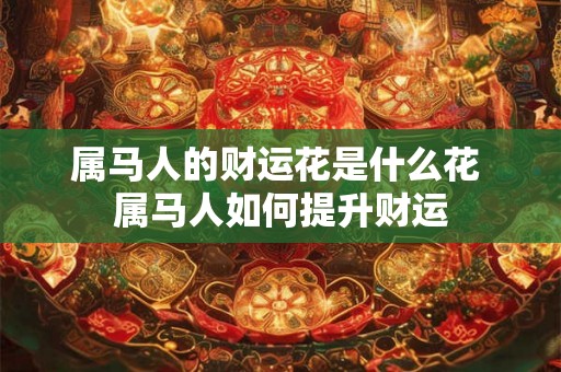 属马人的财运花是什么花 属马人如何提升财运