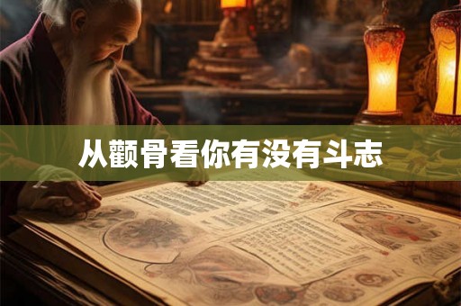 从颧骨看你有没有斗志