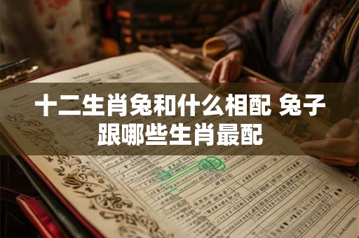 十二生肖兔和什么相配 兔子跟哪些生肖最配