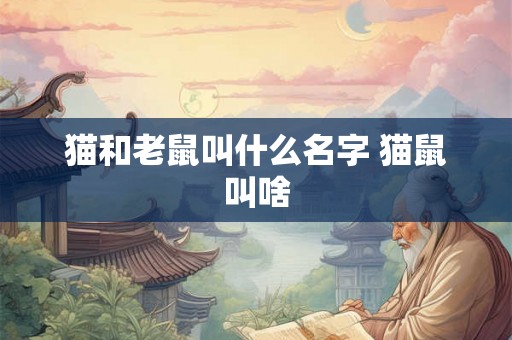 猫和老鼠叫什么名字 猫鼠叫啥