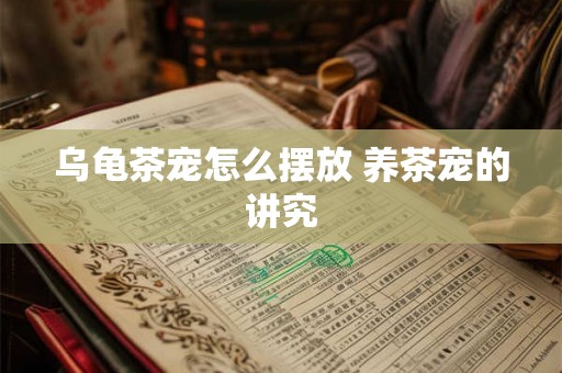 乌龟茶宠怎么摆放 养茶宠的讲究