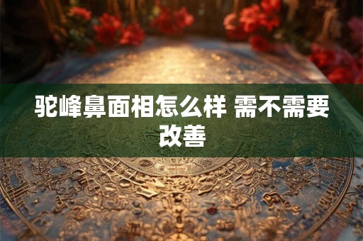 驼峰鼻面相怎么样 需不需要改善
