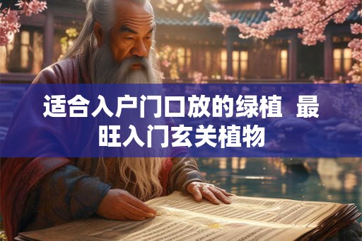 适合入户门口放的绿植  最旺入门玄关植物