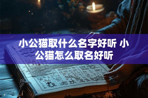小公猫取什么名字好听 小公猫怎么取名好听