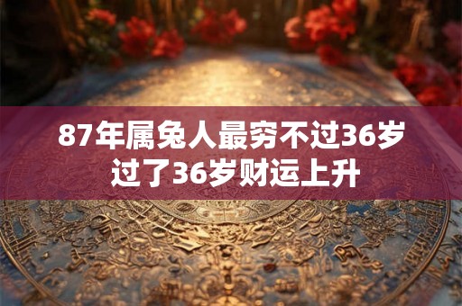 87年属兔人最穷不过36岁 过了36岁财运上升 87年属兔人最穷不过36岁 过了36岁财运上升