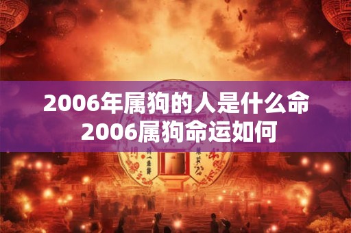 2006年属狗的人是什么命 2006属狗命运如何