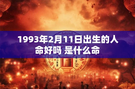 1993年2月11日出生的人命好吗 是什么命