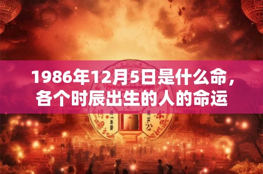 1986年12月5日是什么命，各个时辰出生的人的命运
