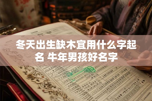 冬天出生缺木宜用什么字起名 牛年男孩好名字