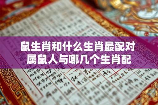 鼠生肖和什么生肖最配对 属鼠人与哪几个生肖配