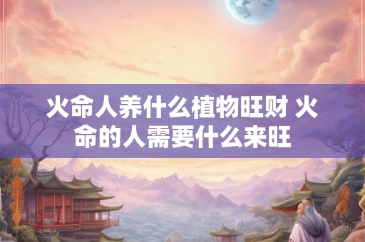 火命人养什么植物旺财 火命的人需要什么来旺
