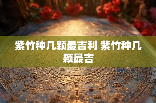 紫竹种几颗最吉利 紫竹种几颗最吉 紫竹种几颗最吉利 紫竹种几颗最吉