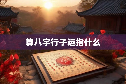 算八字行子运指什么
