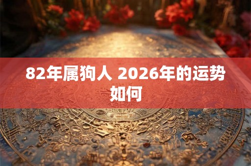 82年属狗人 2026年的运势如何