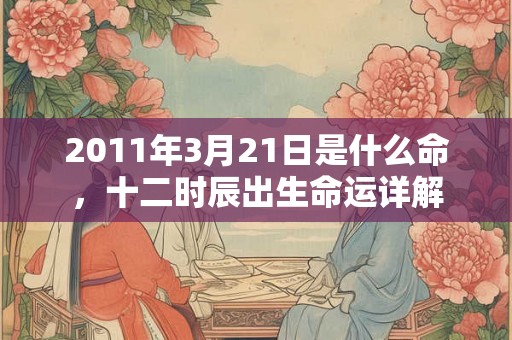 2011年3月21日是什么命，十二时辰出生命运详解