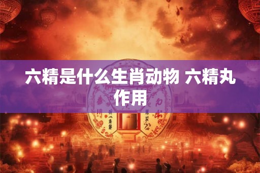 六精是什么生肖动物 六精丸作用 六精是什么生肖动物 六精丸作用