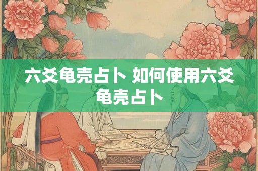 六爻龟壳占卜 如何使用六爻龟壳占卜