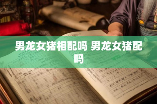 男龙女猪相配吗 男龙女猪配吗 男龙女猪相配吗 男龙女猪配吗