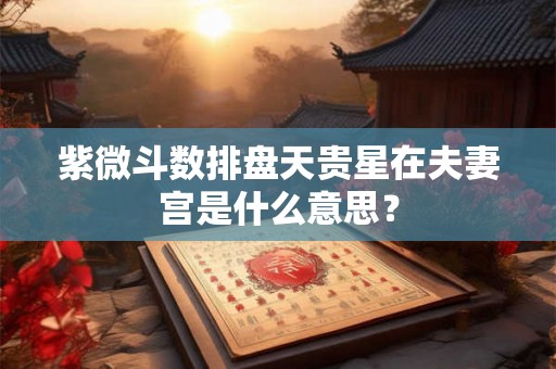紫微斗数排盘天贵星在夫妻宫是什么意思? 紫微斗数排盘天贵星在夫妻宫是什么意思?