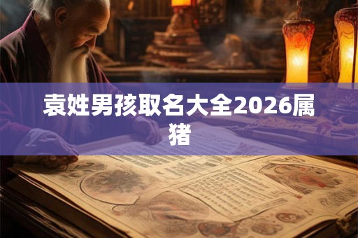 袁姓男孩取名大全2026属猪
