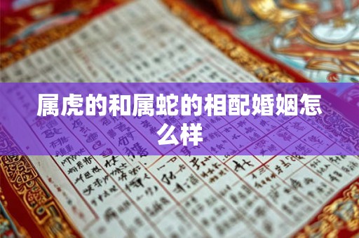 属虎的和属蛇的相配婚姻怎么样