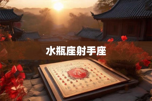 水瓶座射手座