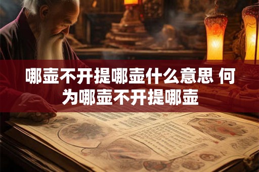 哪壶不开提哪壶什么意思 何为哪壶不开提哪壶
