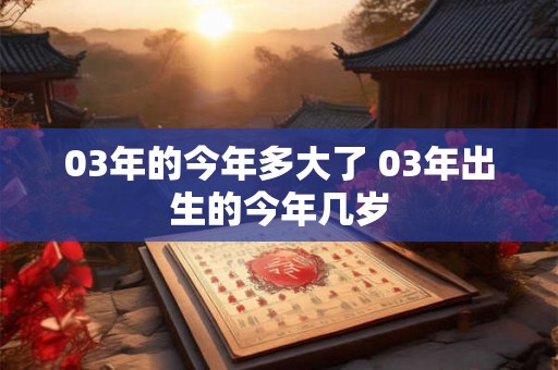03年的今年多大了 03年出生的今年几岁