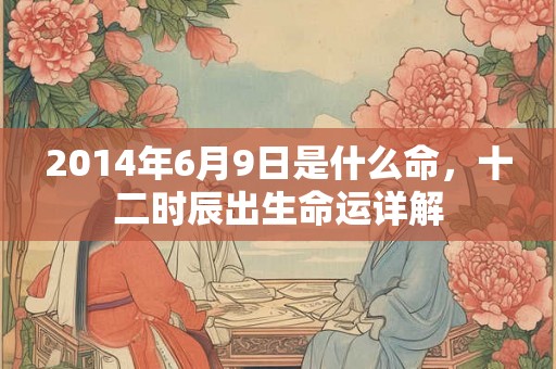 2014年6月9日是什么命，十二时辰出生命运详解