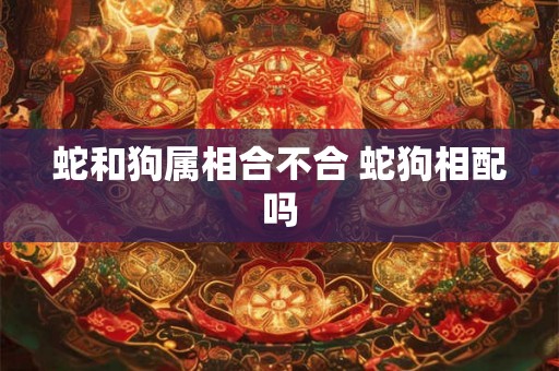 蛇和狗属相合不合 蛇狗相配吗