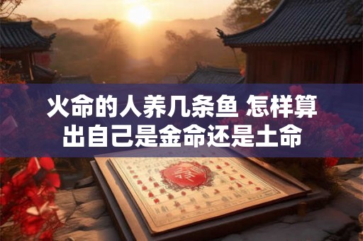 火命的人养几条鱼 怎样算出自己是金命还是土命 火命的人养几条鱼 怎样算出自己是金命还是土命