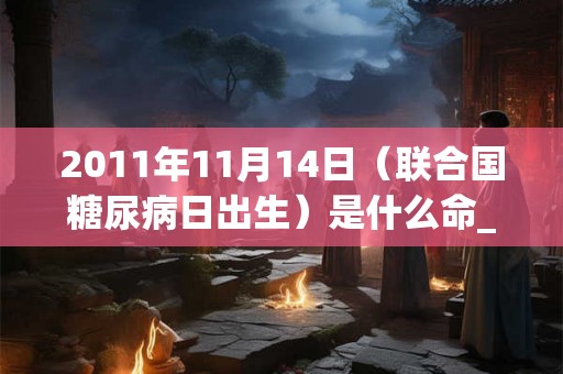 2011年11月14日(联合国糖尿病日出生)是什么命_命运如何 2011年11月14日(联合国糖尿病日出生)是什么命_命运如何