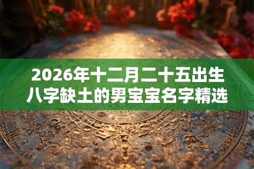 2026年十二月二十五出生八字缺土的男宝宝名字精选