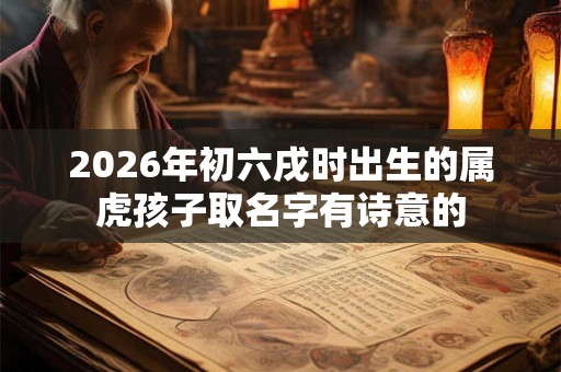 2026年初六戌时出生的属虎孩子取名字有诗意的