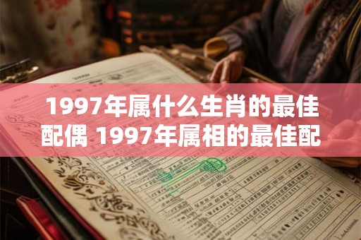 1997年属什么生肖的最佳配偶 1997年属相的最佳配偶是什么 1997年属什么生肖的最佳配偶 1997年属相的最佳配偶是什么