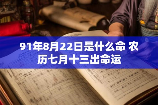 91年8月22日是什么命 农历七月十三出命运