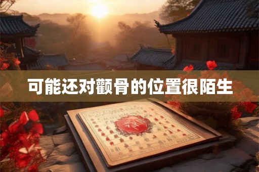 可能还对颧骨的位置很陌生 可能还对颧骨的位置很陌生