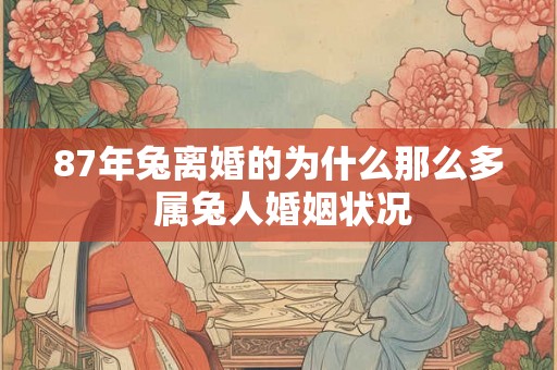 87年兔离婚的为什么那么多 属兔人婚姻状况
