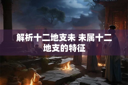 解析十二地支未 未属十二地支的特征